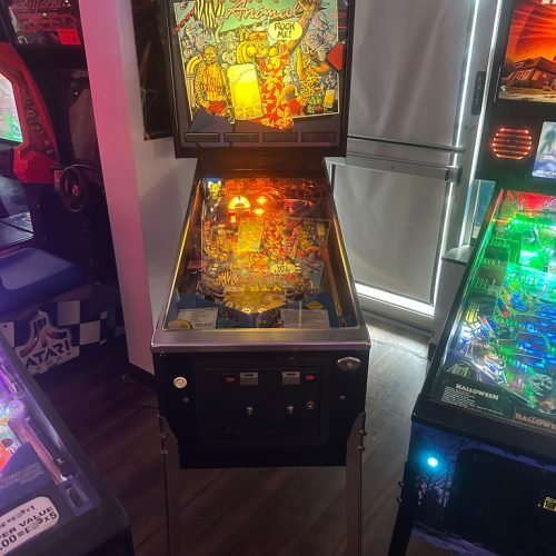 Bally Party Animal Pinball Machine for sale
