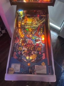 Bally Party Animal Pinball Machine for sale ()