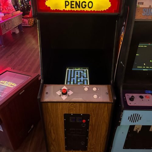 Pengo Arcade Game for sale