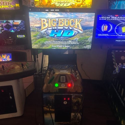 Raw Thrills Big Buck Hunter HD Deluxe Arcade Game for sale